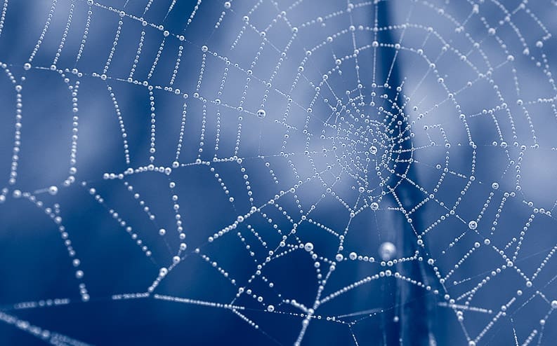 A close-up of a spider web covered in small dewdrops, with a blue blurred background. The delicate web strands are highlighted by the sparkling water droplets.