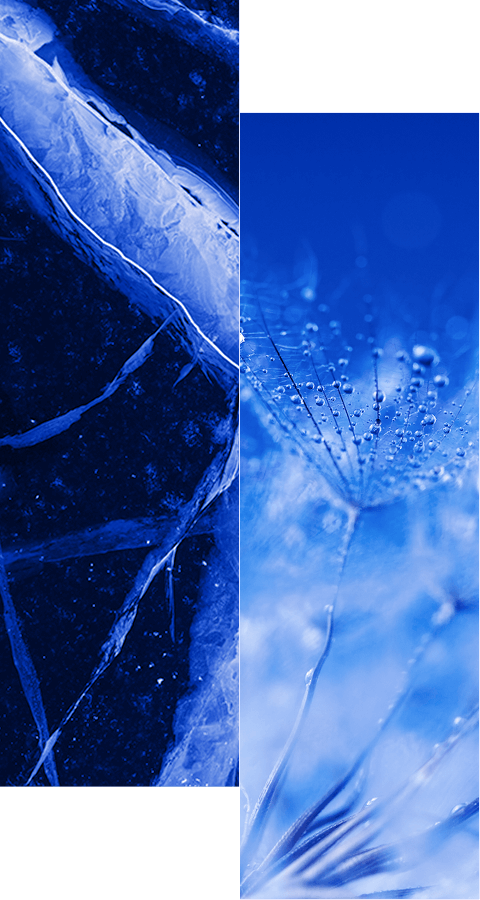 Split image: the left side shows dark blue cracked ice with white veins, while the right features a close-up of a dandelion seed with water droplets—learn more about how we help organizations simplify access rights management with role mining.