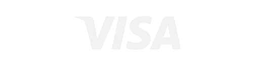 The faint, transparent word VISA is centered on a light gray background, subtly illuminated to reflect the clarity of RadiantOne identity data and intelligence solutions.