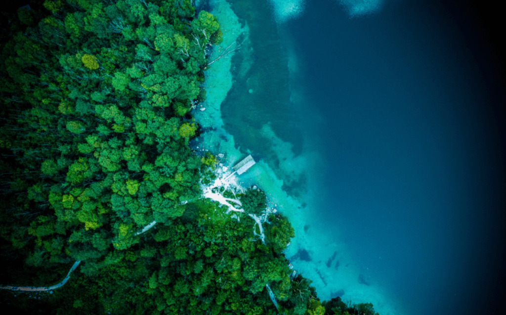 Aerial view of dense green forest bordering a clear blue lake, with a small dock extending from the shore into the water. The contrast between the vibrant trees and calm water is striking.