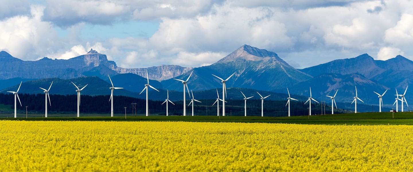 A row of wind turbines stands in a yellow field with mountains and a cloudy blue sky in the background.