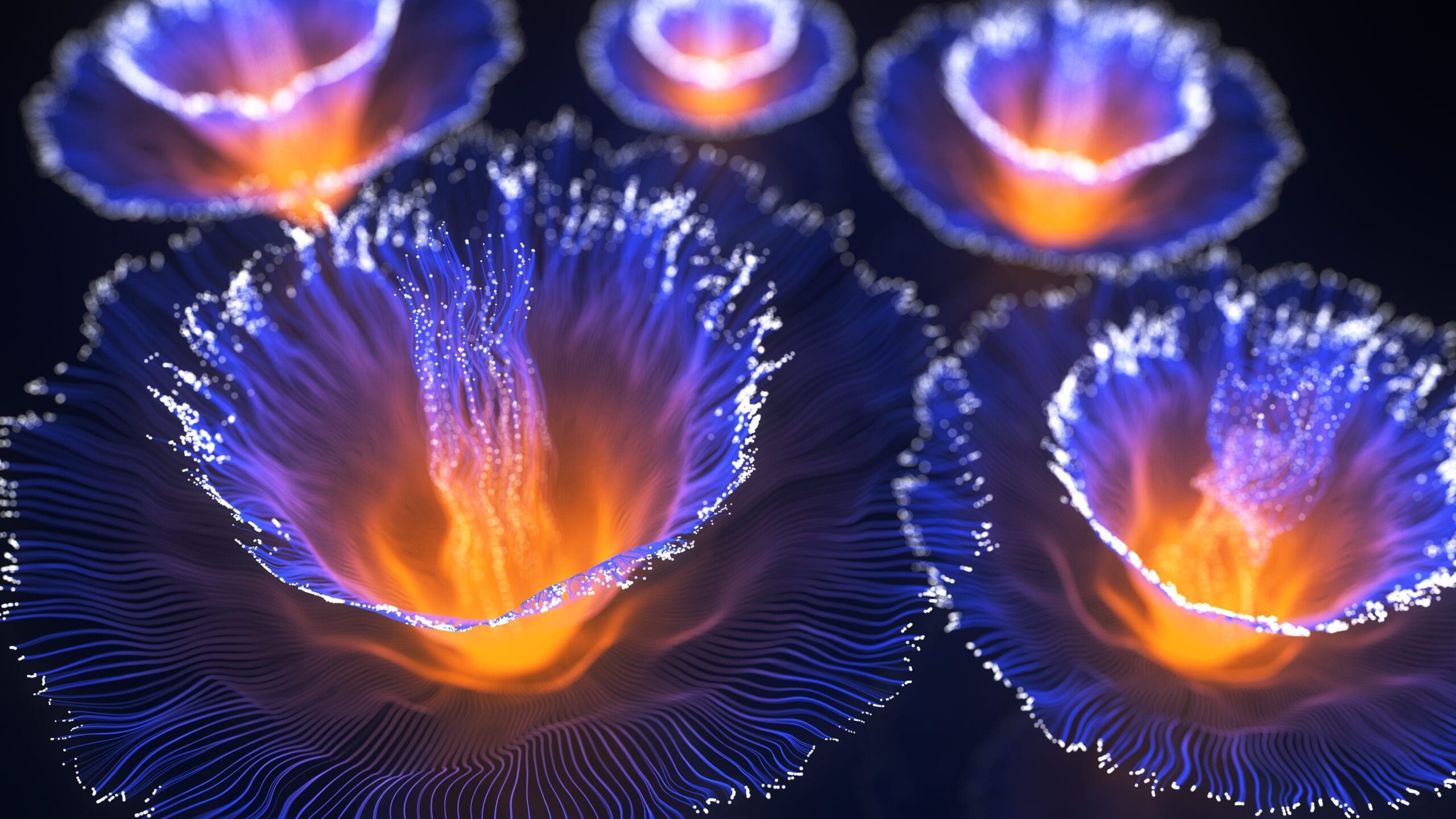 Glowing abstract flowers with vibrant blue and orange hues, featuring delicate, wavy petals and luminous centers, set against a dark background. The petals have a fine, thread-like texture and appear ethereal and futuristic.